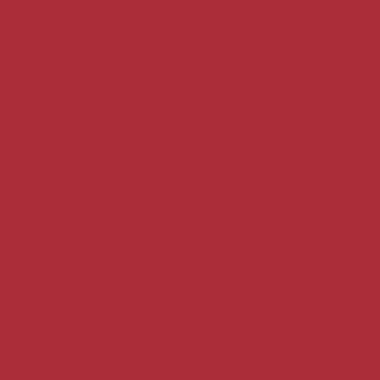 Цвет колеровки краски RAL 3020 (транспортный красный)