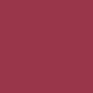 Цвет колеровки краски RAL 3027 (малиново-красный)