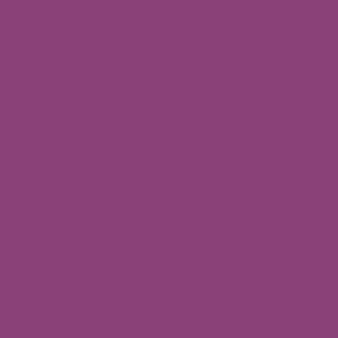 Цвет колеровки краски RAL 4006 (транспортный пурпурный)