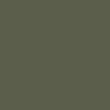 Цвет колеровки краски RAL 6003 (оливково-зелёный)