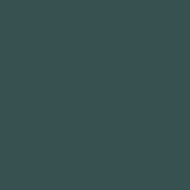 Цвет колеровки краски RAL 6004 (cине-зелёный)