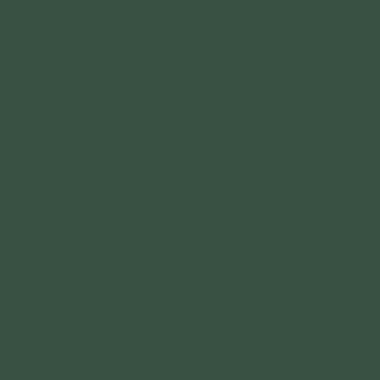 Цвет колеровки краски RAL 6005 (зелёный мох)
