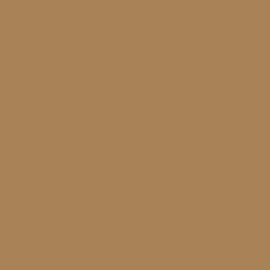 Цвет колеровки краски RAL 1011 (коричнево-бежевый)