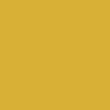 Цвет колеровки краски RAL 1012 (лимонно-жёлтый)