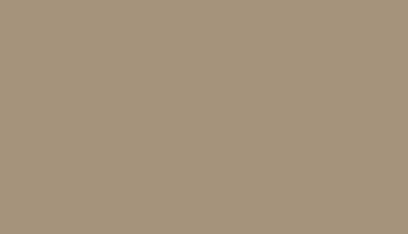 Цвет колеровки краски RAL 1019 (серо-бежевый)
