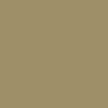 Цвет колеровки краски RAL 1020 (оливково-жёлтый)