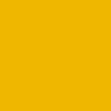 Цвет колеровки краски RAL 1023 (транспортно-жёлтый)