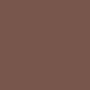 Цвет колеровки краски RAL 8002 (cигнальный коричневый)
