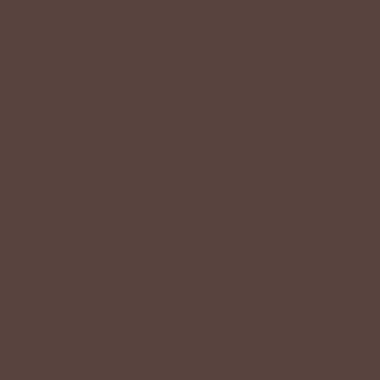 Цвет колеровки краски RAL 8016 (махагон коричневый)