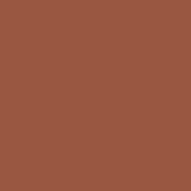 Цвет колеровки краски RAL 8023 (оранжево-коричневый)