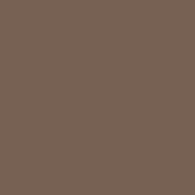 Цвет колеровки краски RAL 8025 (бледно-коричневый)
