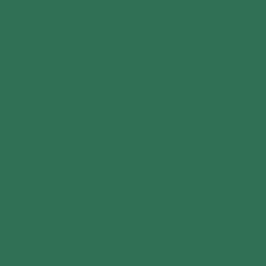 Цвет колеровки краски RAL 6016 (бирюзово-зелёный)