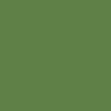 Цвет колеровки краски RAL 6017 (майский зелёный)