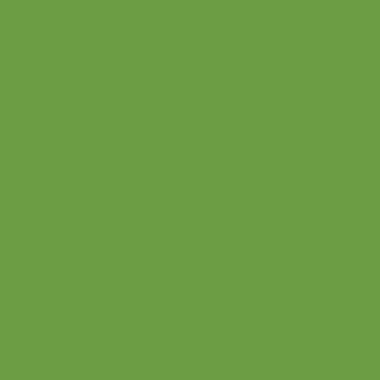 Цвет колеровки краски RAL 6018 (желто-зелёный)