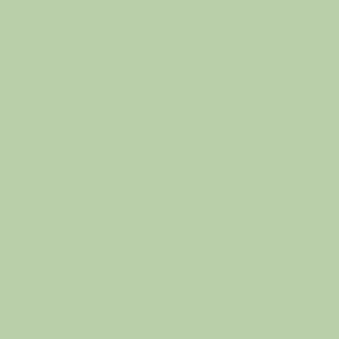 Цвет колеровки краски RAL 6019 (бело-зелёный)