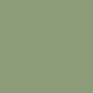 Цвет колеровки краски RAL 6021 (бледно-зелёный)