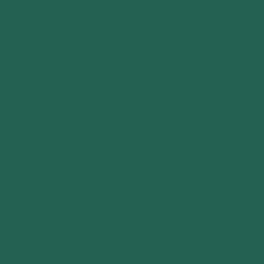 Цвет колеровки краски RAL 6026 (опаловый зелёный)