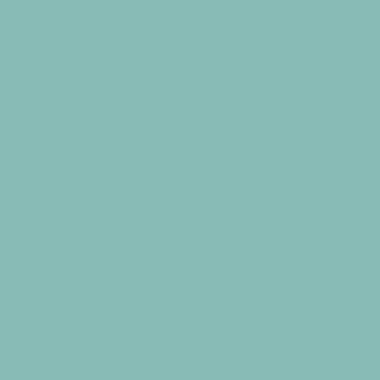Цвет колеровки краски RAL 6027 (светло-зелёный)