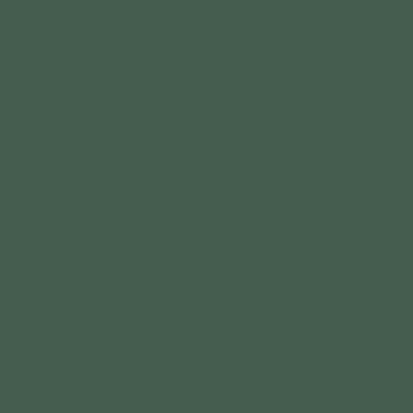 Цвет колеровки краски RAL 6028 (сосновый зелёный)