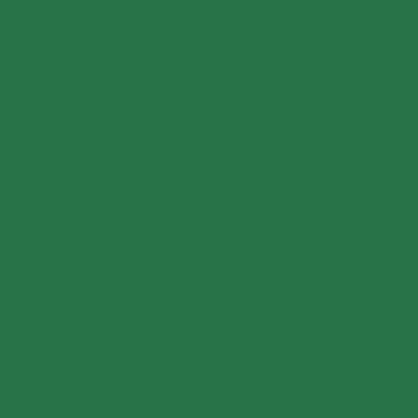 Цвет колеровки краски RAL 6029 (мятно-зелёный)
