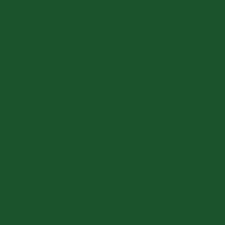 Цвет колеровки краски RAL 6035 (перламутрово-зелёный)