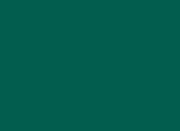 Цвет колеровки краски RAL 6036 (перламутровый опаловый зелёный)