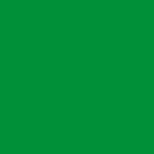 Цвет колеровки краски RAL 6037 (зелёный)