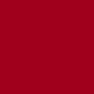 Цвет колеровки краски RAL 3001 (cигнальный красный)