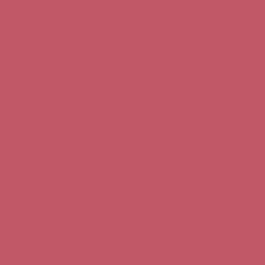 Цвет колеровки краски RAL 3017 (розовый)