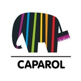 Caparol / Капарол СКРЫТ