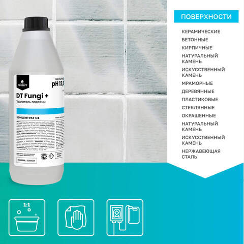 Средство для удаления плесени Prosept Prof DT Fungi+ / Просепт