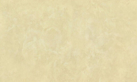 Декоративная штукатурка с эффектом натурального шелка Decorazza Seta / Декорацца Сета