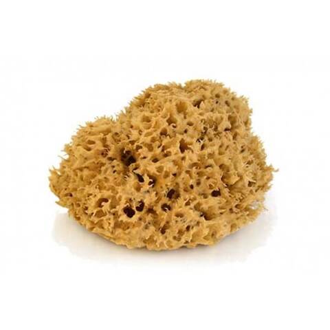 Губка морская натуральная Pavan 3120 / Паван