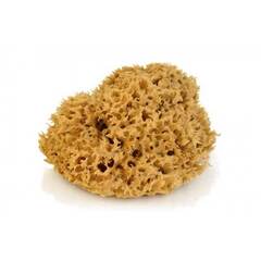 Губка морская натуральная Pavan 3120 / Паван
