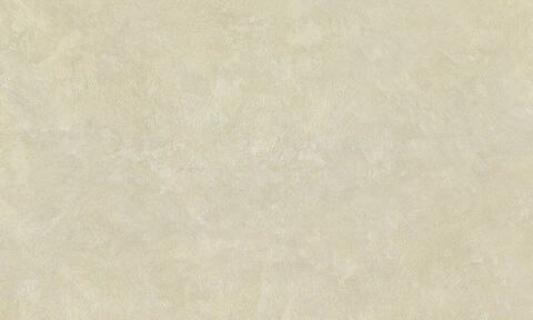 Декоративная штукатурка с эффектом натурального шелка Decorazza Seta / Декорацца Сета