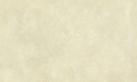 Декоративная штукатурка с эффектом натурального шелка Decorazza Seta / Декорацца Сета