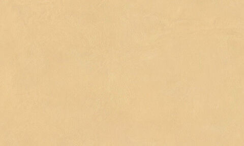 Декоративная штукатурка с эффектом натурального шелка Decorazza Seta / Декорацца Сета