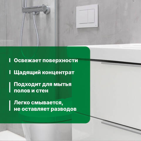 Средство щадящего действия для удаления ржавчины и минеральных отложений Prosept Bath Acid / Просепт