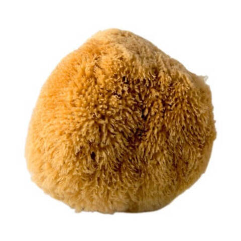 Губка морская натуральная STMDecor M / СТМДекор