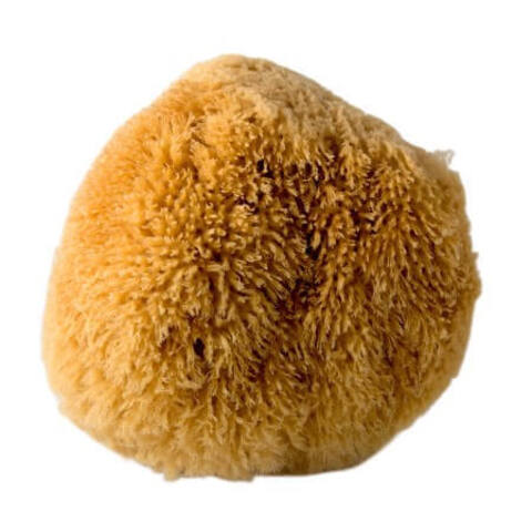 Губка морская натуральная STMDecor M / СТМДекор