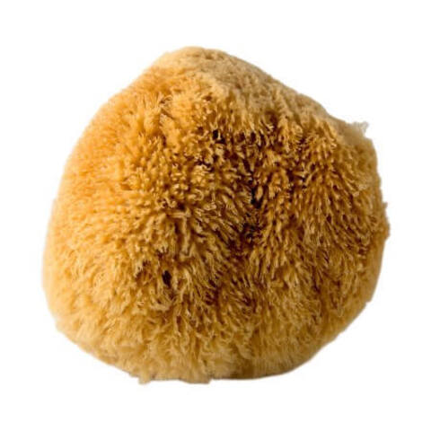 Губка морская натуральная STMDecor M / СТМДекор