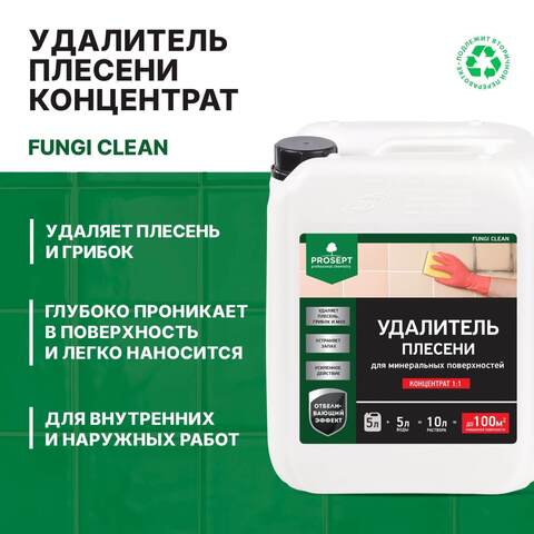 Удалитель плесени Prosept Fungi Clean / Просепт Фунги Клин