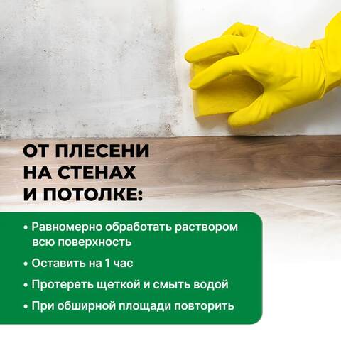 Удалитель плесени Prosept Fungi Clean / Просепт Фунги Клин