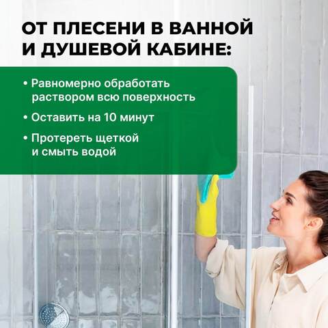 Удалитель плесени Prosept Fungi Clean / Просепт Фунги Клин