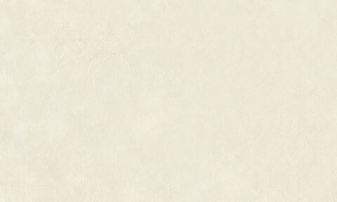 Декоративная штукатурка с эффектом натурального шелка Decorazza Seta / Декорацца Сета