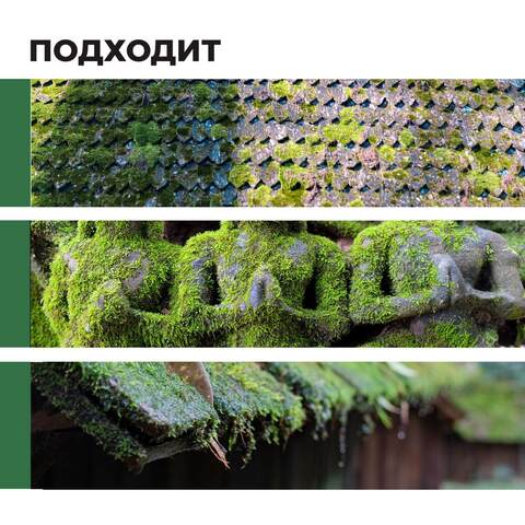 Удалитель мха готовый состав Prosept / Просепт