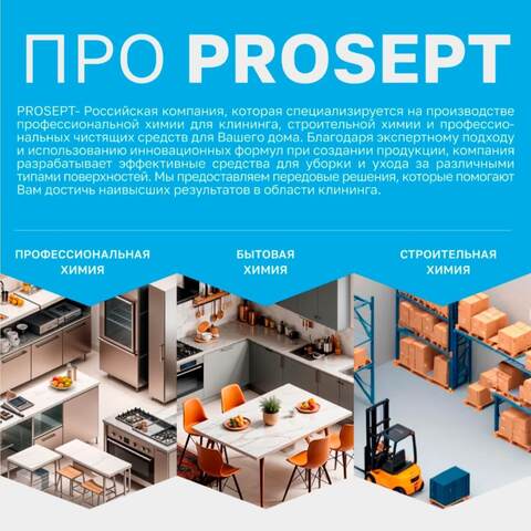 Средство для удаления плесени Prosept Prof DT Fungi / Просепт