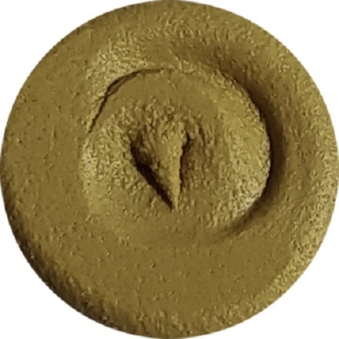 Герметик шовный акриловый для дерева Remmers Acryl 100 / Реммерс Акрил 100