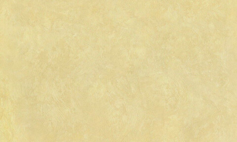 Декоративная штукатурка с эффектом натурального шелка Decorazza Seta / Декорацца Сета