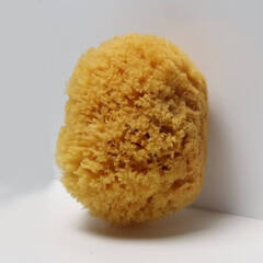 Губка натуральная морская для декоративных штукатурок Boldrini / Болдрини